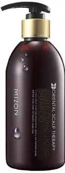 Mizon Scalp clinic liquid shampoo