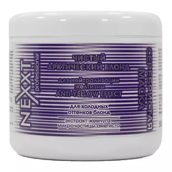 Nexxt Backstage Blonde Anti Yellow Effect Intense Plus Mask