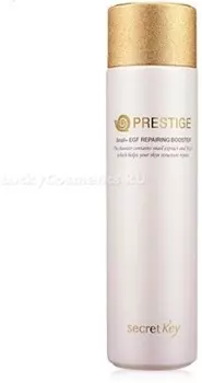 Secret Key Prestige Snail EGF Repairing Booster