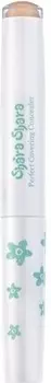 Shara Shara Perfect Covering Concealer