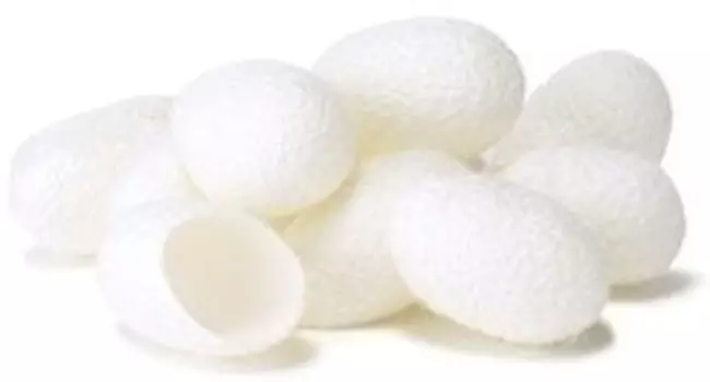 The Saem Cocoon Silk Ball