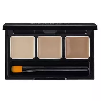 The Saem Cover Perfection Smart Concealer Kit