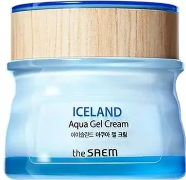 The Saem Iceland Aqua Gel Cream