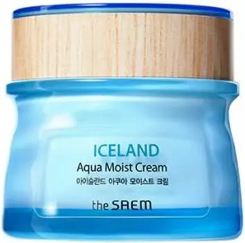 The Saem Iceland Aqua Moist Cream