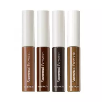 The Saem Saemmul Browcara