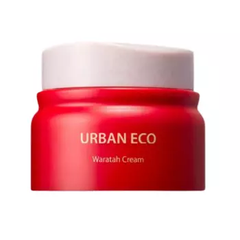 The Saem Urban Eco Waratah Cream