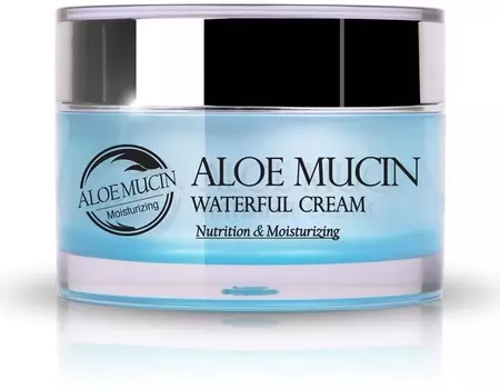 The Skin House Aloe Mucin Waterful Cream