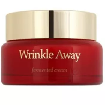 The Skin House Wrinkle Away Fermented Cream