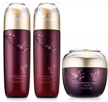 Tony Moly Oriental Gyeol Skincare Set