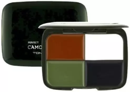 Tony Moly Perfect Camo Cream