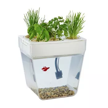 Акваферма AquaFarm