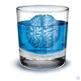 Форма для льда Мозги