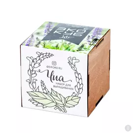 Экокуб Lite Чиа