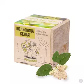 Экокуб Шелковица Белая