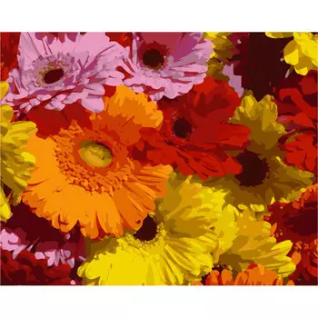 Картина по номерам Герберы