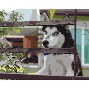 Картина по номерам Хаски ждет