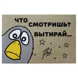 Коврик придверный Что смотришь вытирай