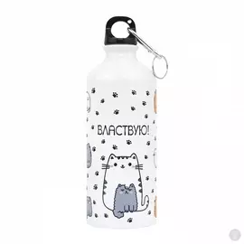 Металлическая бутылка с крышкой Властвую