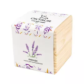 Набор для выращивания Cube Classic Лаванда