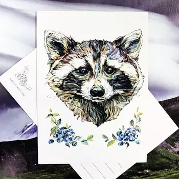 Открытка Енотик