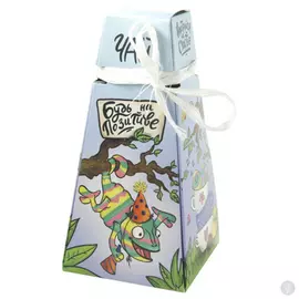 Подарочный чай-пирамидка Будь на позитиве