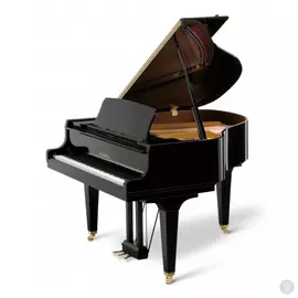 Подарочный сертификат на 5 индивидуальных занятий в First music family Фортепиано