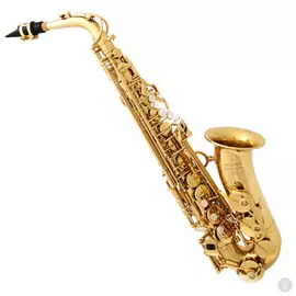 Подарочный сертификат на 5 индивидуальных занятий в First music family Саксофон