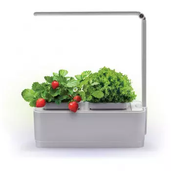 Смарт-сад с подсветкой iGarden LED