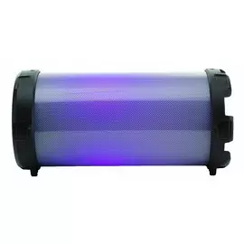 Аудиосистема портативная econ EPS-100