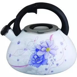 Чайник эмалированный WINNER 5109-WR