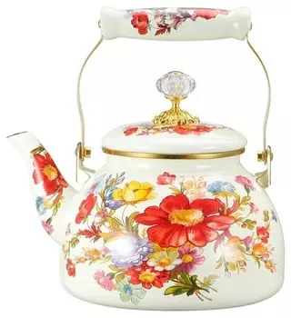 Чайник для плиты Zeidan Z-4337-02 Эмаль, 3 л