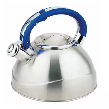 Чайник TECO 3,0 л TC-109-B, голубой