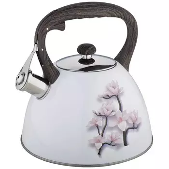 Чайник Zeidan Z-4218