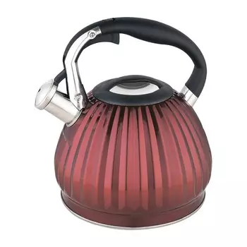 Чайник Zeidan Z-4228