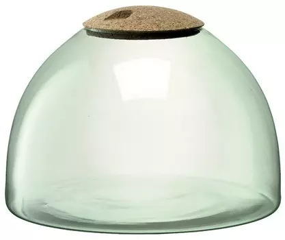 Флорариум LSA International Canopy 22см