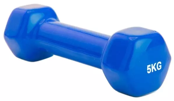 Гантель цельнолитая BRADEX SF 0167/SF 0168 5 кг синий