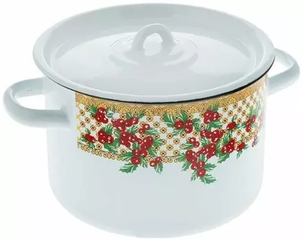 Кастрюля СтальЭмаль 1С17С, 4.5 л