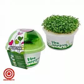 Набор для выращивания Моя микрозелень - Базилик