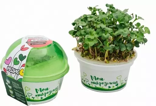 Набор для выращивания Моя микрозелень - Редис