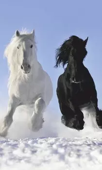 Обогреватель настенный Дыхание тепла - Пегас