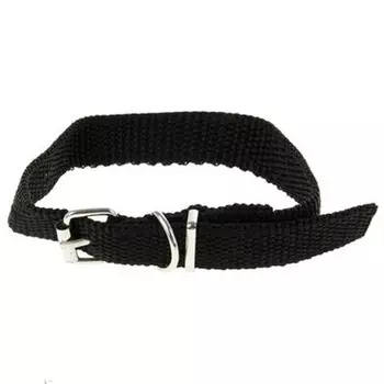 Ошейник 33,5 х 1,5 см - полиэстр, Черный