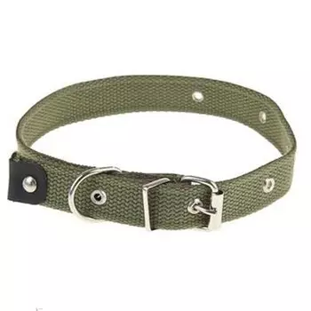 Ошейник брезентовый однослойный