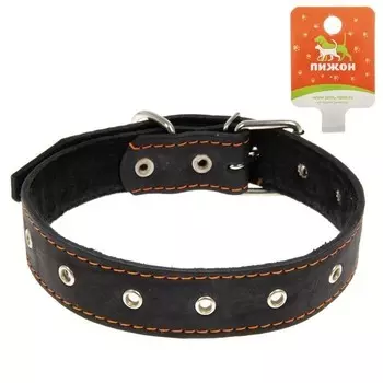 Ошейник кожаный на синтепоне, безразмерный, 71 х 3.6 см, микс цветов