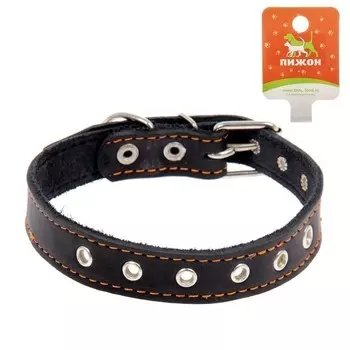 Ошейник кожаный однослойный, безразмерный, 54 х 2.5 см