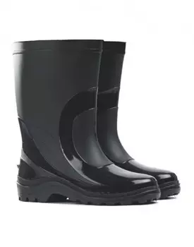 Сапоги мужские ДАРИНА Д10 (черный, 36(225))