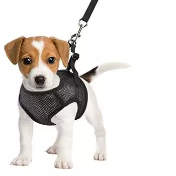 Шлейка-жилетка для собак, размер L