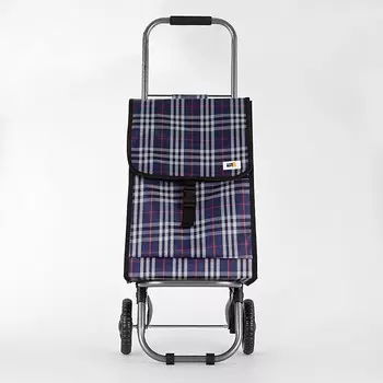 Сумка-тележка Рыжий кот JX-D2, клетка