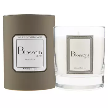 Свеча ароматическая Sublime, Цитрусовый цвет, 40 ч