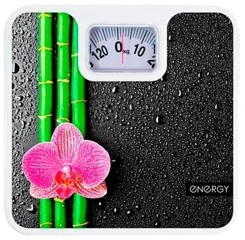 Весы механические Energy ENM-409D