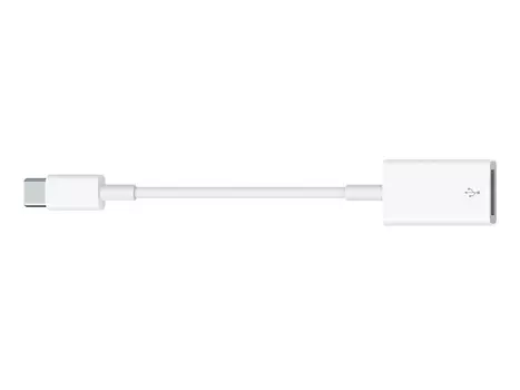 Адаптер Apple USB-C to USB 2.0, 0,11м, Белый, MJ1M2ZM/A